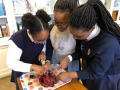 life-sciences-practical-09