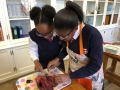 life-sciences-practical-13
