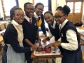 life-sciences-practical-16