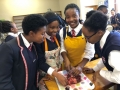 life-sciences-practical-18