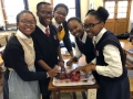 life-sciences-practical-20