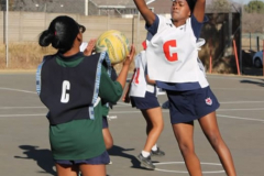 Netball