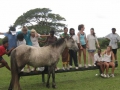 prefects_2011_040
