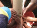 prefects_2011_087