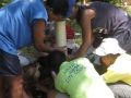 prefects_2011_096