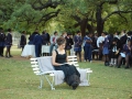 shakespeare08