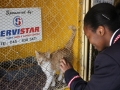 spca-visit-01