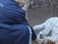 spca-visit-02