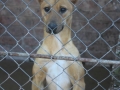 spca-visit-03