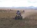 quadbking02