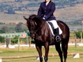 equestrian-2