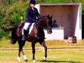 shania-equestrian-2
