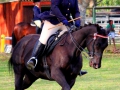 shania-equestrian-3