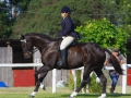 shania-equestrian-4