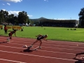 cradock-athletics-01