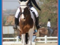 shania-mulder3