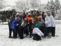 snow006