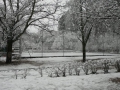 snow009