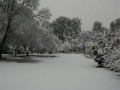 snow011