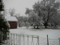 snow012