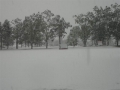 snow013