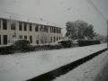 snow035