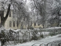 snow036