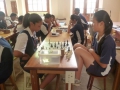 chess06