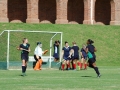 hockey-vg-06